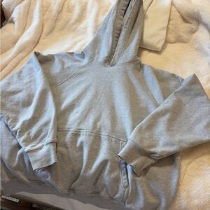 Aritzia Hoodie